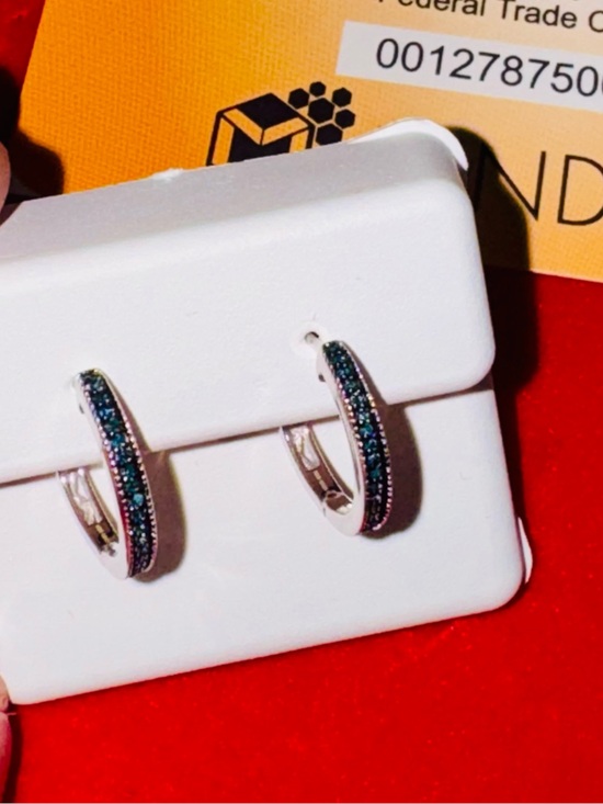 Jewelry - Natural Earth-Mined Blue Diamond Hoop Earrings – 14K White Gold Vermeil over 925